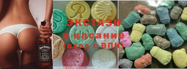 ECSTASY Богородицк