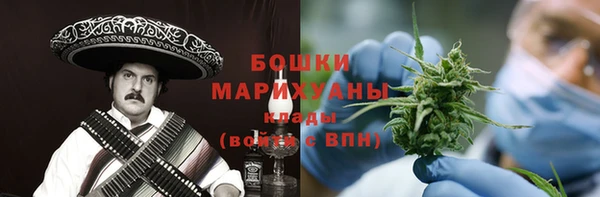 ECSTASY Богородицк